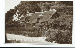 Devon Postcard Ilfracombe Rp Old Maids Cottage Lee Sweetman Unused - Ilfracombe
