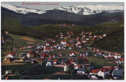 AK Karpacz Krummhübel Ca 1910 (Al06) - Schlesien