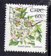 EIRE IRELAND IRLANDA 2004 WILD FLOWERS FLORA HAWTHORN 60c USED USATO OBLITERE' - Gebraucht