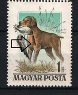 Hungary 1956. Animals / Dogs ERROR "ridged Duck" MNH (**) Michel: 1464 I. - Variedades Y Curiosidades