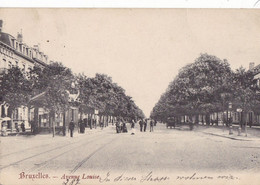 BRUXELLES - Avenue Louise - Avenues, Boulevards
