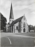 Bazel  *  St.-Pieterskerk  (CPM) - Kruibeke