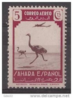 SHR75SASF-L4411PC-TESPAEREO.Marruecos  Maroc.Marocco.Sahara. Español..Fauna Y Avion.Avestruz. 1943 (Ed 75**).EXCELENT - Nuevos