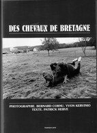 Chevaux De Bretagne Recueil De Photos De Chevaux 1989  état Superbe TOP+++ - Bretagne