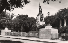 Algérie 1956 Saida (Saïda) سعيدة  Le Monument Aux Morts  Algeria El Djazaïr الجزائر Oran - Saida