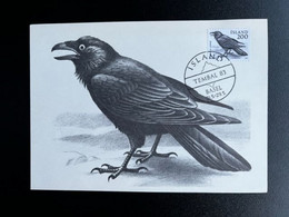 ICELAND ISLAND 1981 MAXIMUM CARD CORVUS CORAX IJSLAND BIRDS - Cartes-maximum