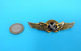 PEGASUS AIRLINES (TurkeyAirline)  -- Old Rare Large Pilot Wings Badge * Airline Airways Plane Avion - Distintivi Equipaggio