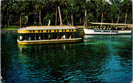 Florida Silver Springs Glass Bottom Boat Meets Jungle Cruise On Silver River - Silver Springs