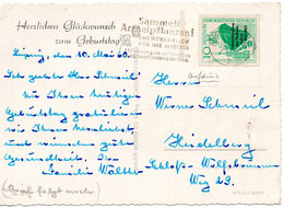 56153 - DDR - 1960 - 10Pfg Hochseehafen Rostock EF A AnsKte LEIPZIG - SAMMELT ARZNEIPFLANZEN ... -> Westdeutschland - Pharmacy