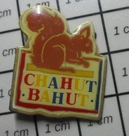 410c Pin's Pins / Rare Et De Belle Qualité !! ANIMAUX / ECUREUIL ROUX CHAHUT BAHUT - Animaux