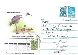 Russia Sovjet - Postal Stationery 1985 : White-naped Crane - Grus Vipio - ( Big Different In Color) - Kranichvögel