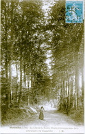 76 - MAROMME - La Côte De La Maine, Route Pittoresque Sous Bois Conduisant à La Vaupalière - Maromme