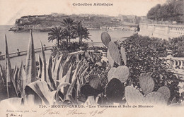 MONACO(CASINO) ARBRE(CACTUS) - Jardin Exotique