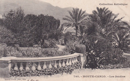 MONACO(CASINO) ARBRE - Jardin Exotique