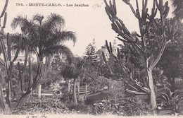 MONACO(CASINO) ARBRE(CACTUS) - Jardin Exotique