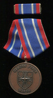 NATO:OTAN:Denmark:Danmark Medal IFOR Dancon March, 1996 - Other & Unclassified