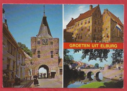 NL.- GROETEN UIT ELBURG. BRUG, VISCHPOORT, St.AGNIETENKLOOSTER. - Souvenir De...