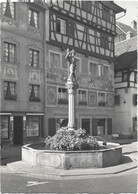 Stein Am Rhein Rathaus-Brunnen - Stein Am Rhein