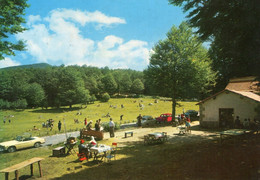 MONTE AMIATA - CARTOLINA FG SPEDITA NEL 1993 - PRATO DELLA CONTESSA - ANIMATA - AUTO EPOCA - PICNIC - Arezzo