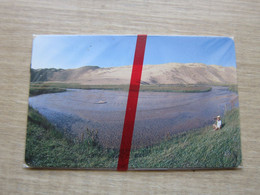 Mon-02 First Issued Chip Card, Child By Lake, 150units, GEM1 Chip,mint In Blister - Mongolei