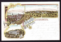 1900 Gelaufene Litho AK Aus Evilard-Leublingen Bei Biel. Mit Hotel 3 Tannen - Evilard