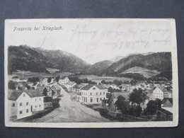 AK FRESSNITZ B. KRIEGLACH B. Mürzzuschlag 1921  /// D*54890 - Krieglach