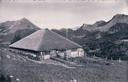 Châtel St Denis FR, A Corbettes, Chalet D'alpage (2713) - Châtel-Saint-Denis