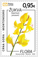 Montenegro - Postfris / MNH - Flora 2022 - Montenegro