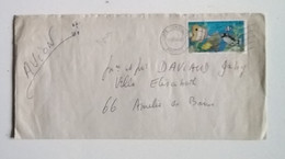 Mayotte : Lettre De Pamandzi Pour Amélie Les Bains - Storia Postale