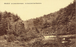 Maissin Le Vieux Pont Des Cochettes  Photo Duchene Libin - Paliseul