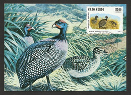 Cabo Verde Cap Vert Carte Maximum Pintade De Numidie 1983 Cape Verde Helmeted Guineafowl Maxicard - Cap Vert