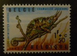 Belgium   1965   :  N° 1344-v3 MH - CAT.; 6,00€ - Otros & Sin Clasificación