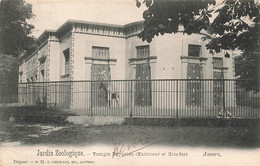 CPA Anvers - Jardin Zoologique - Temple Egyptien - Exterieur Et Girafes - Hermans Edition - Antwerpen