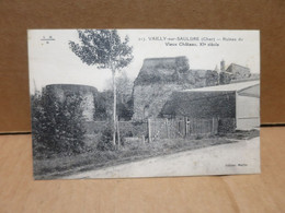 VAILLY SUR SAULDRE (18) Ruines Du Vieux Chateau XIè Siècle - Otros & Sin Clasificación