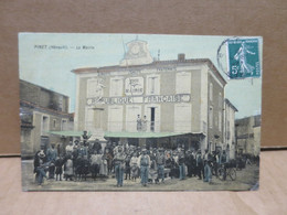 PINET (34) La Mairie Superbe Animation Carte Toilée Couleur - Andere & Zonder Classificatie