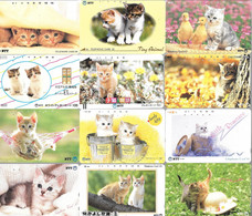 22 CARTES-MAGNETIQUE-JAPON-THEME-CHATONS-TBE - Cats