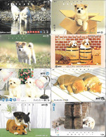 20 CARTES-MAGNETIQUE-JAPON-THEME-CHIOTS-TBE - Katzen