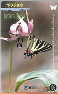 CARTE-MAGNETIQUE-JAPON-10,5--PAPILLON-LUEHDORFIA JAPONICA-TBE- - Mariposas