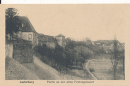 Lauterburg (67 Bas Rhin) Partie An Der Alten Festungmauer Circulée 1918 - Lauterbourg