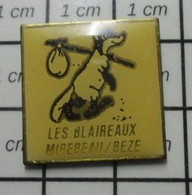 410A Pin's Pins / Beau Et Rare / ANIMAUX / LES BLAIREAUX MIREBEAU / BEZE Côte-d'Or En Région Bourgogne-Franche-Comté. - Animaux