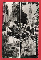 Delcampe - SEVILLA CARTE PHOTO MULTIVUES ANNEE 1960 EDIT DELFLOR Zaragoza Impeccable N°501 - Sevilla