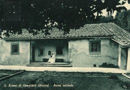 SANT'EREMO DI CAMALDOLI - CARTOLINA FG SPEDITA NEL 1964 - AUREA SOLITUDO ANIMATA - Arezzo