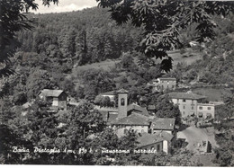 BADIA PRATAGLIA - CARTOLINA FG SPEDITA NEL 1958 - PANORAMA PARZIALE - Arezzo