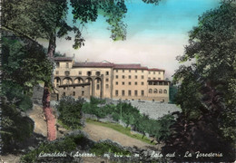CAMALDOLI - AREZZO - CARTOLINA FG SPEDITA NEL 1957 - LATO SUD - LA FORESTERIA - Arezzo