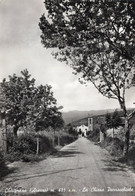 CHITIGNANO - AREZZO - CARTOLINA FG SPEDITA NEL 1956 - LA CHIESA PARROCCHIALE - Arezzo