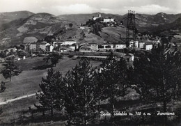 BADIA TEDALDA - CARTOLINA FG SPEDITA ANNI 50 - PANORAMA - Arezzo