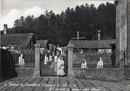 SANT'EREMO DI CAMALDOLI - CARTOLINA FG SPEDITA NEL 1961 - GLI EREMITI SI RECANO ALLA CHIESA - Arezzo