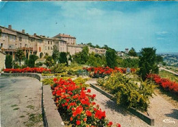 82 - MONTPEZAT-DE-QUERCY - Montpezat De Quercy