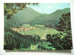 Cartolina Viaggiata "LACENO Villaggio Turistico Pineta" 1970 - Avellino