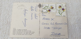 1978 Ellas Greece Used On Cover To Italy  Postcard Flower Flowers Definitive - Cartas & Documentos
